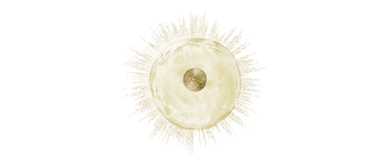 Zellsymbol Sonnenkraft